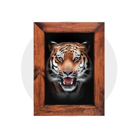 categoria 4